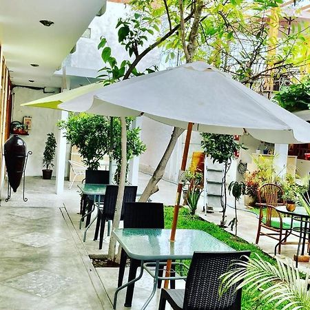 فندق Garden House إِكا المظهر الخارجي الصورة